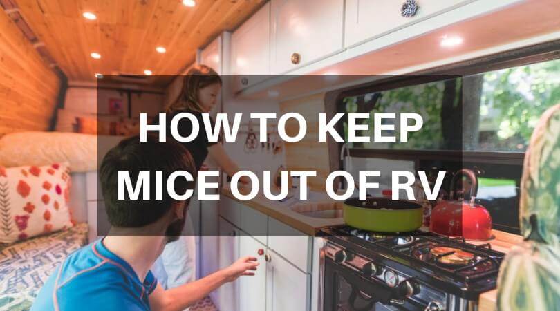 How To Keep Mice Out Of RV – 4 Simple Ways Without Spending A Penny